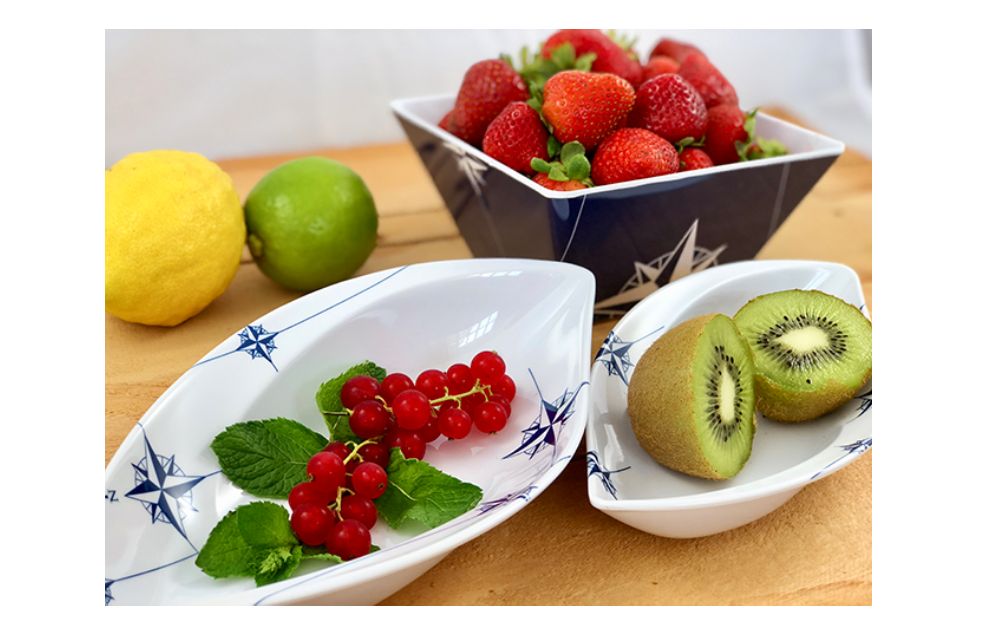 NORTHWIND SET ZDJELICA marine business