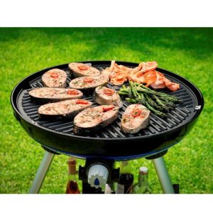 CADAC-GRILL-TAVA-BBQ-GRID-50.jpg