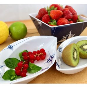 NORTHWIND SET ZDJELICA marine business