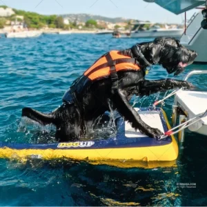 inflatable-ladder-for-dogs-dogup-imnasa-ladders-imnasa-ref-50250128 (2)