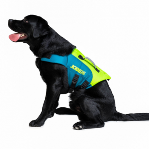 pet-vest